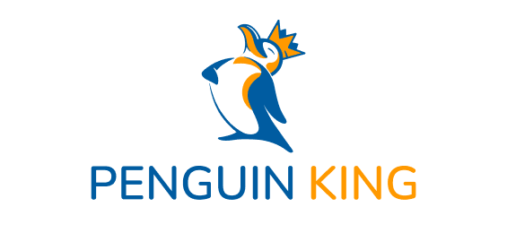 ویزا partner logo